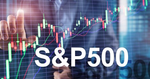 S&P 500 Universe